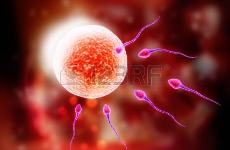 22718676-digital-illustration-of-sperm-and-egg-in-colour-background